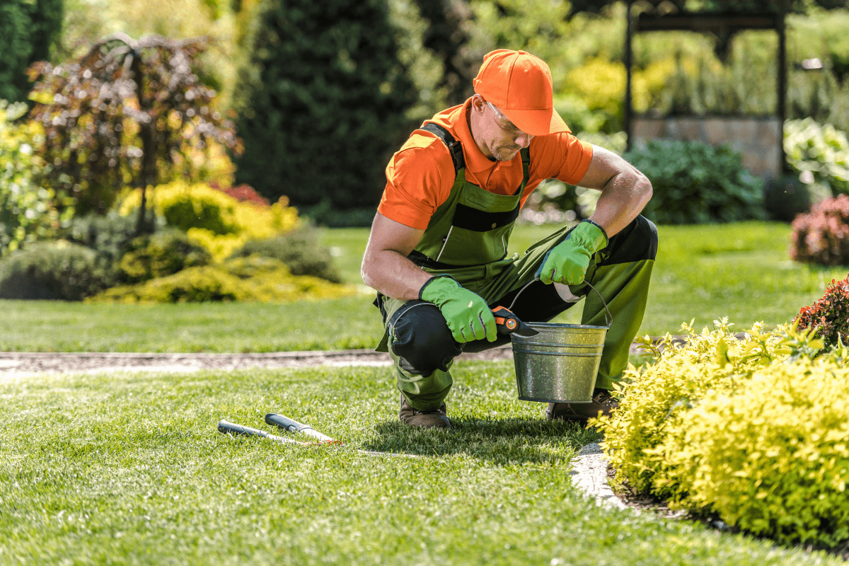 Garden maintenance